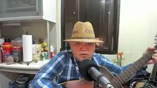 HUMAN HIGHWAY cover by TOTO