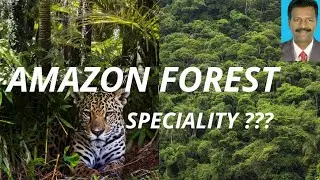 AMAZON FOREST | WELLWISHER ANANTHAN | TAMIL