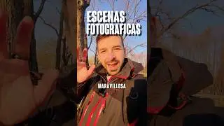 Una escena fotogr&aacute;fica perfecta #fotografia