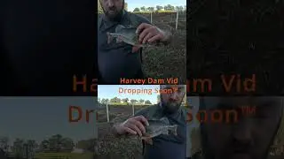 #fishing Harvey Dam. Wear #shorts in #nature is dam great!