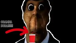 The OBAMNA MAZE is a PERFECT game with NO flaws
