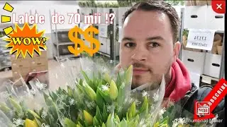 Transport lalele in valoare de💥 70 mii !💥?..cum arată o zi la locul de muncă...