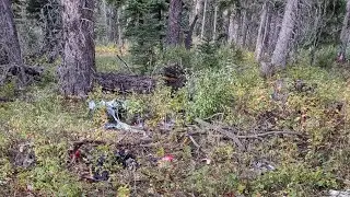 Cutbank Creek MT exploration.