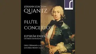 Concerto in E Minor, QV 5:116: Cantabile e frezzante (con sordini)