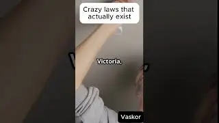 Crazy Laws You Won't Believe Exist!#CrazyLaws #FunFacts #DebateTime