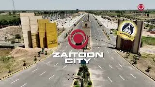 Zaitoon Group - 35+ Years of Legacy in Real Estate
