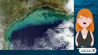 Ocean Dead Zones