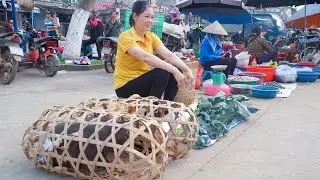 60 Days Harvesting Crops From The Farm - Take It To Upland Market To Sell | Wild Forest Life