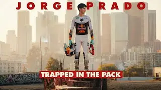 The journey: THROUGH THE PACK