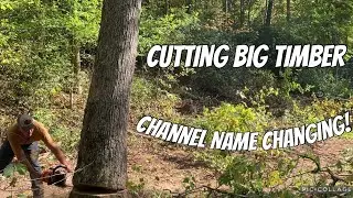 Best Trees We Have Cut In A While/Backwoods TN