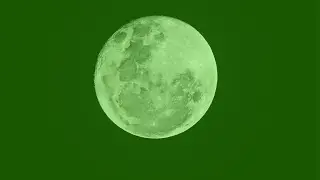 Summer Moonstream