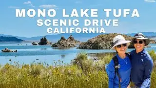 MONO LAKE and SCENIC DRIVE 🚙I CALIFORNIA