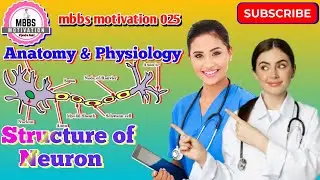 neuron structure and function।।neuron diagram।।structure of neuron ।।neuron system।।neuron class 10