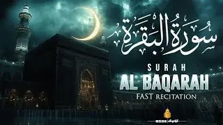 XSurah Al Baqarah full (quick recitation) by Sheikh Mishary Al Afasy | سورة البقرة كاملة