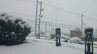 Snow Day in New Jersey  2026