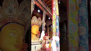 Thiksey Monastery Ladakh🙏#monastery #thikseymonastery #ladakh #buddha #buddhism