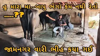 હુ મારા મા.. બાપુ ભેગો કેમ નથી રેતો...??