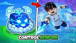 I Obtained CONTROL REWORK FRUIT in Blox Fruits Roblox Update