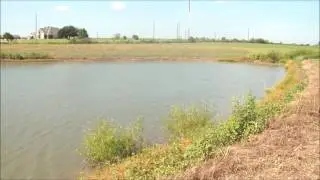 Texas Farm and Ranch Land For Sale 80.34 Acres in Bell County, TX