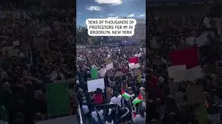 Protest for Palestine in Brooklyn, New York | MUSLIM