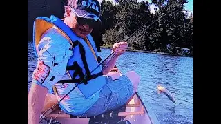 Pike Fishing in a Canoe