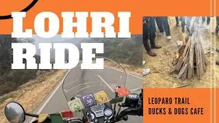 Lohri Ride | Leopard Trail #gabruonwheels #royalenfield  #breakfastride #royalenfield