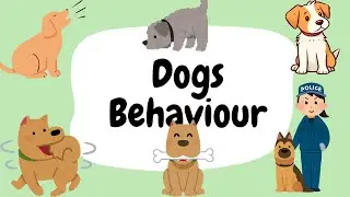 Common Dog Behaviors | learn about dogs | educational videos