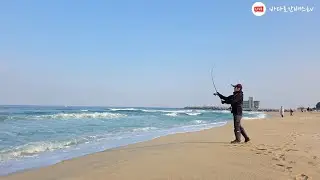 겨울 서프루어! 강릉 안목~송정~강문~경포해변 