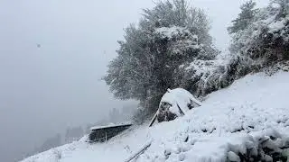 Happy snowfall dosto 😍bhut time baad snow aaya ❣️saare khush ho gye 😍❣️