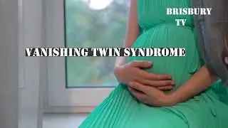 What causes Vanishing Twin Syndrome?