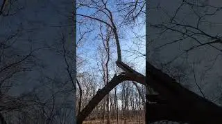 Упал &ndash; и тут же поднялся! #мотивация #вдохновение #да-да