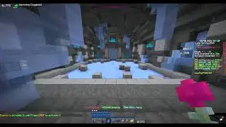 Hypixel Skyblock killing silver fish in the ice puzzle.