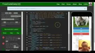 Use the Bootstrap Grid to Put Elements Side By Side, freeCodeCamp Bootstrap Review, lesson 9