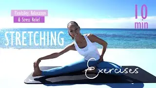 10 MIN STRETCHING EXERCISES ON THE BEACH / Dehne und mobilisiere den ganzen Körper | Katja Seifried
