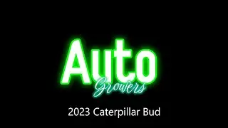 Auto Growers  - 2023 Caterpillar Bud - HD 1080p