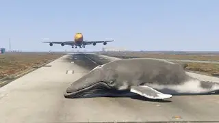 Airplane landing on the airstrip with a Humpback Whale - GTA V (Airplane crash landing test)