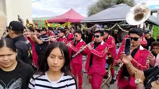 Macarena mambo - El Abejorro | Banda La Prestigiada | Fiestas Patronales El Sauz Bajo 2025