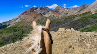 Lizard Head Trail over Black Face Peak, Colorado