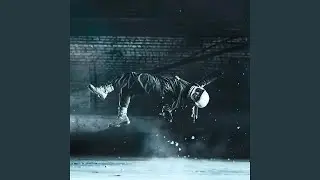 Gravity