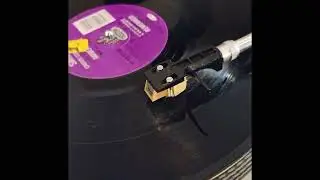 Smirk &ndash; Crowd Control EP // Vinyl Records for Sale //