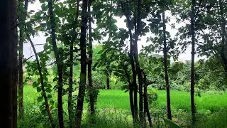The Finding Of The Way | Nigam vs Wild | EP1 
