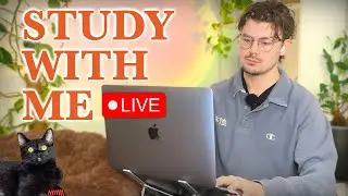 Study With Me LIVE 🚀 11-HOURS &mdash; Deep Focus (50/10 Pomodoro) | Cozy UK Rain, No Distractions!