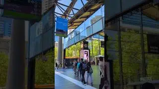 POV: You're walking from South Wharf to Southern Cross #melbourne #citylife #teampixel