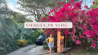 Staying in Vieques, Puerto Rico AIRBNB tour/vlog