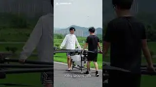 H300 Agricultural Drone Spraying in Rice Fields