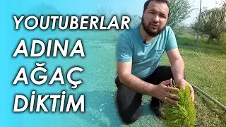 YOUTUBERLAR ADINA AĞAÇ DİKTİM! | Deneyimler #3 @iamreynmen @berkcanguvenn @newdaynewgame