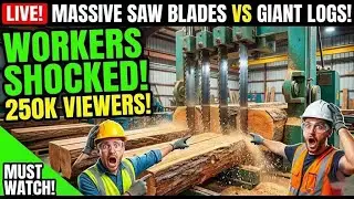 ODDLY SATISFYING! ✨ Precision Wood Cutting & Slicing ASMR | Industrial Sawmill