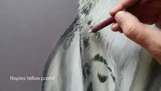 Irbis - kresba pastely / Drawing with pastels