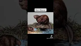 Animals That Went Extinct After Ice Age 🧊#shorts