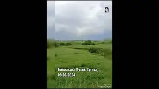 Тойгильды (Тутай; Тутиел) 09.06.2024